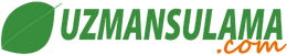 1 TL