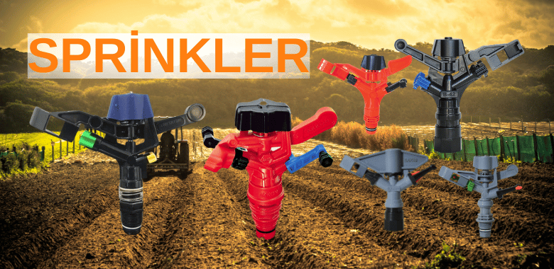 thema banner